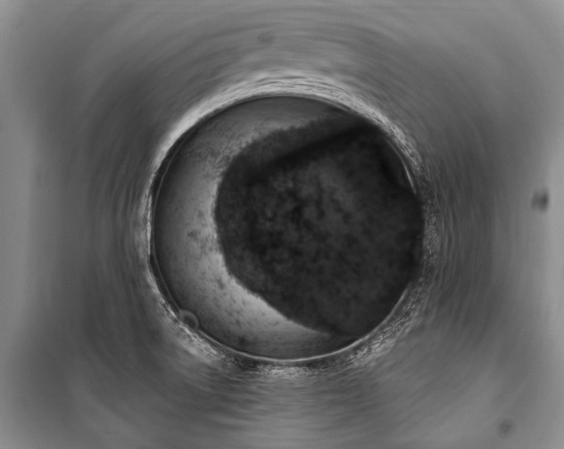 X0000101151522200806270931