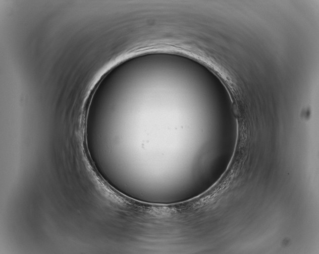 X0000101151526200806270931