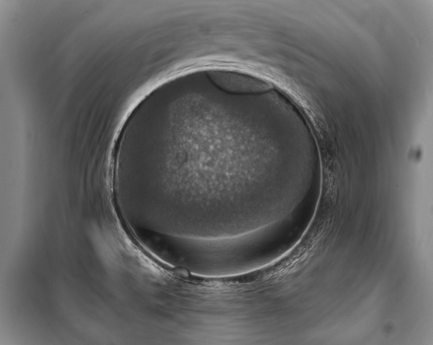 X0000101151527200806270931