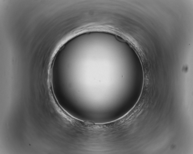X0000101151528200806270931
