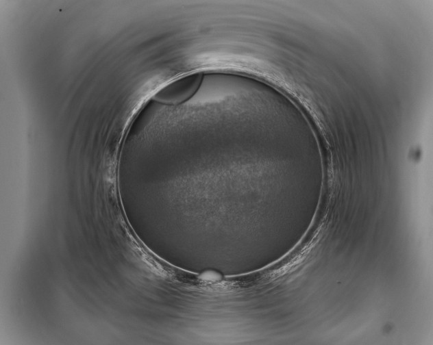 X0000101151529200806270931