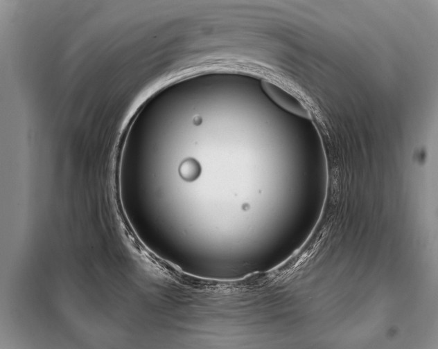 X0000101151530200806270931