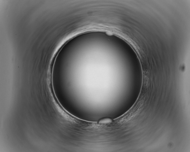 X0000101151531200806270931