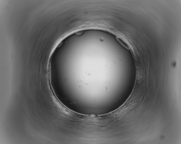 X0000101151532200806270931