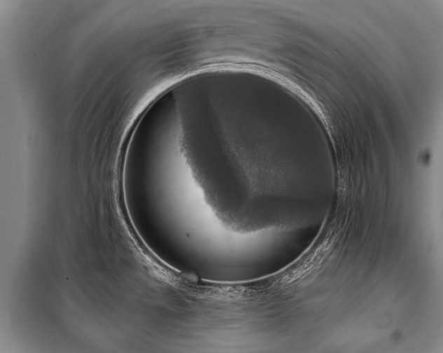 X0000101151533200806270931