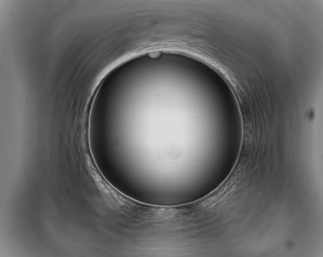 X0000101151534200806270932