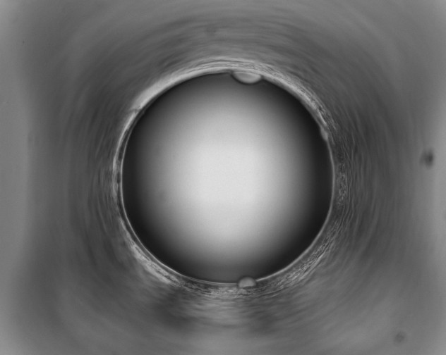 X0000101151535200806270932