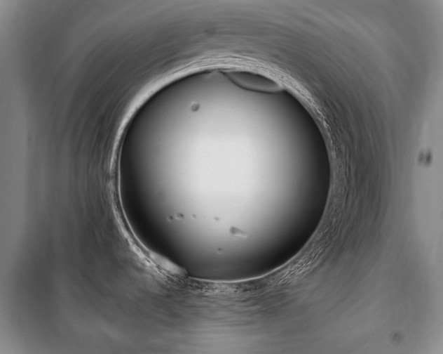 X0000101151536200806270932