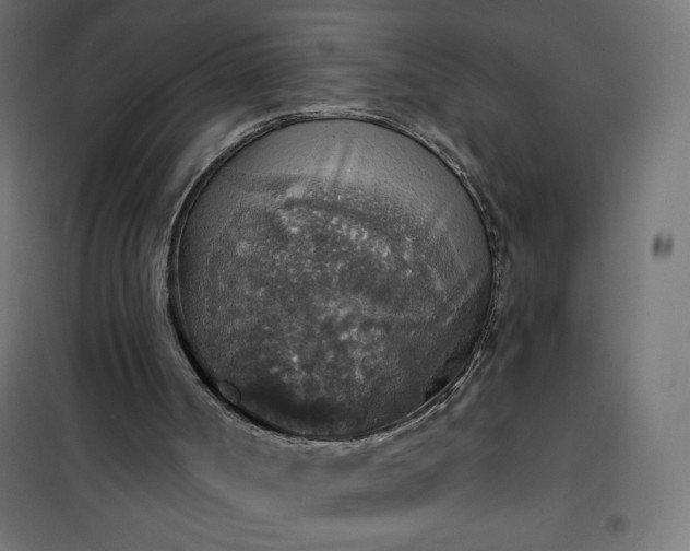 X0000101150002200807071202