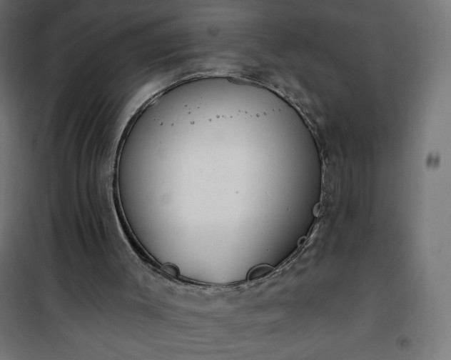 X0000101150003200807071201