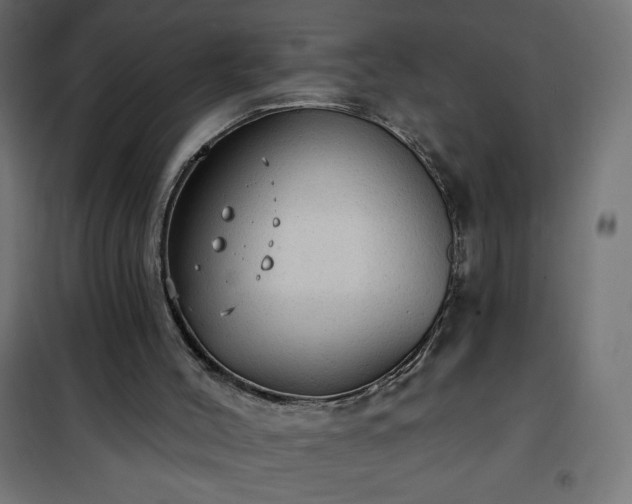 X0000101150004200807071201