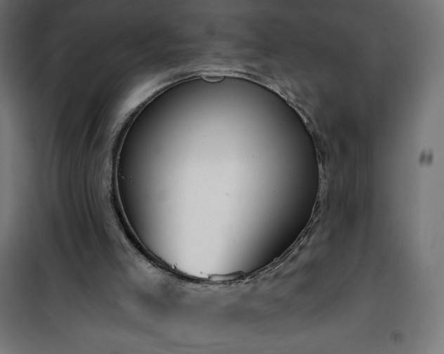 X0000101150005200807071201