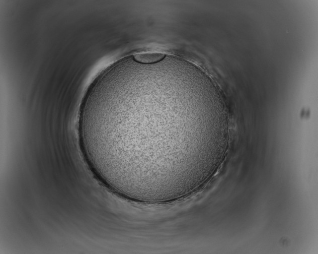 X0000101150006200807071201