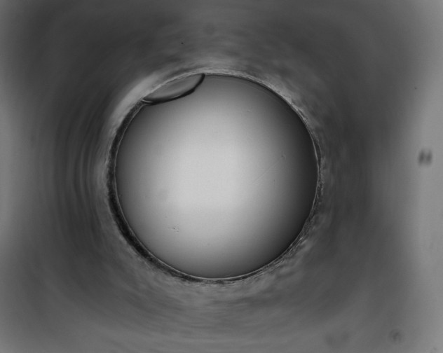 X0000101150007200807071201