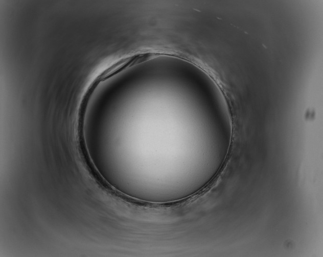 X0000101150008200807071201