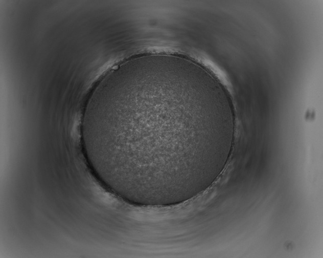 X0000101150009200807071201