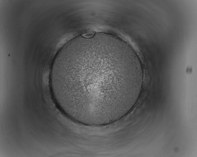 X0000101150010200807071201