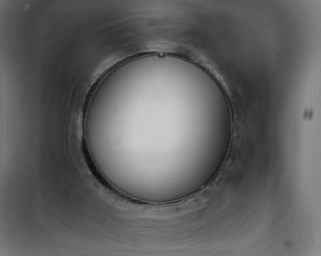 X0000101150011200807071201