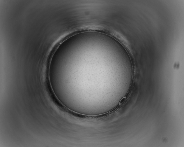 X0000101150012200807071201