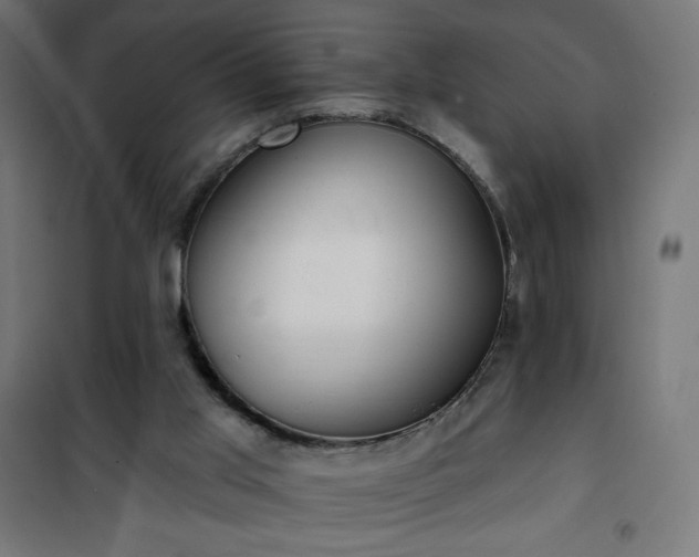 X0000101150013200807071201