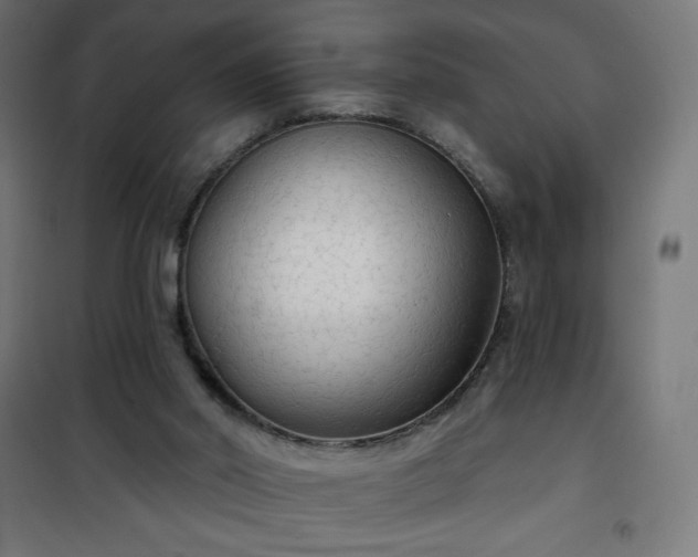 X0000101150014200807071201