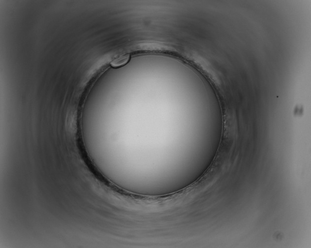 X0000101150015200807071201