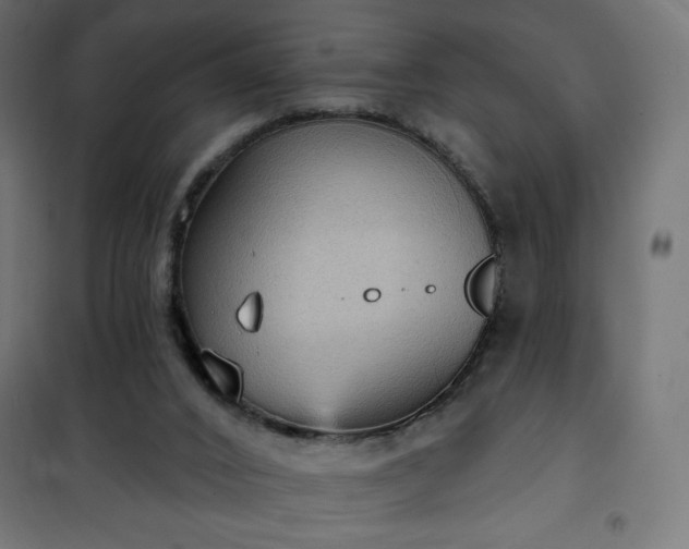 X0000101150016200807071201