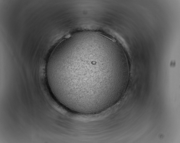 X0000101150017200807071201