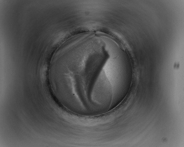 X0000101150018200807071201