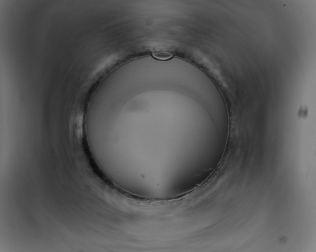 X0000101150019200807071201