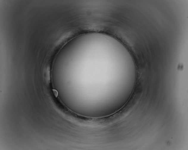 X0000101150020200807071201