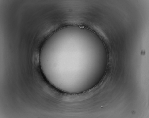 X0000101150021200807071201