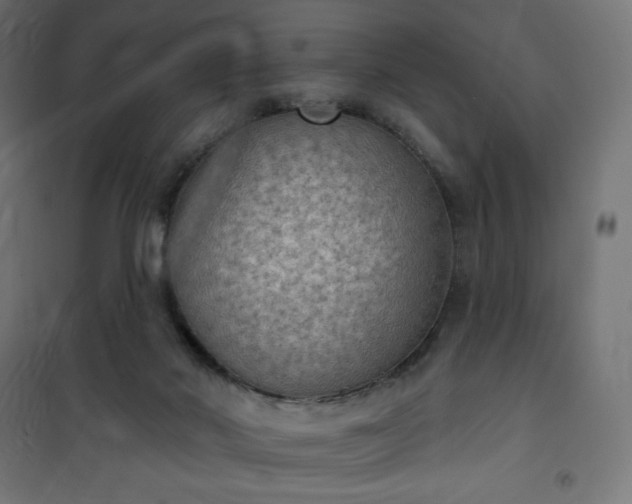 X0000101150022200807071201