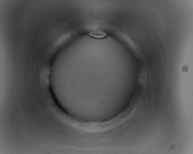 X0000101150023200807071201