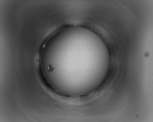 X0000101150024200807071201