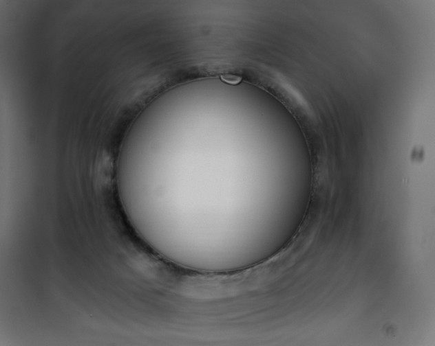 X0000101150025200807071201