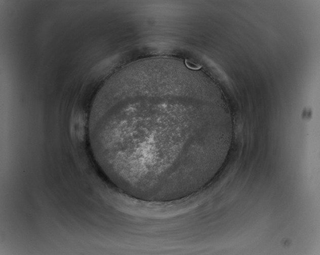 X0000101150026200807071201