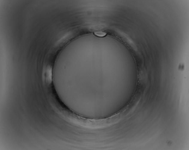 X0000101150027200807071201