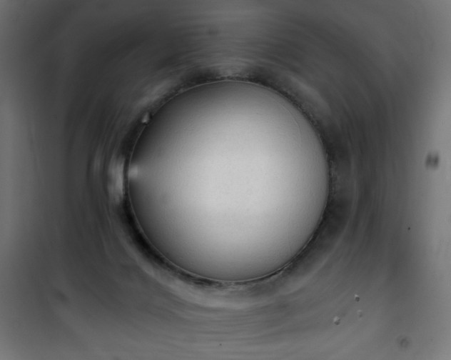 X0000101150028200807071201