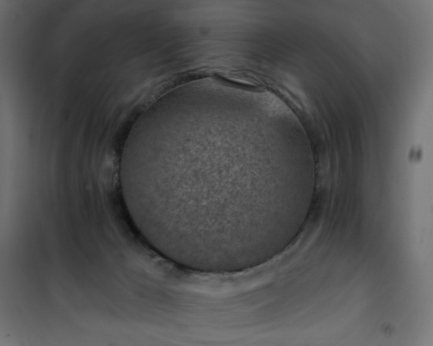 X0000101150029200807071201