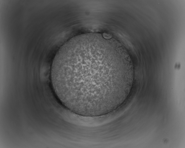 X0000101150030200807071201