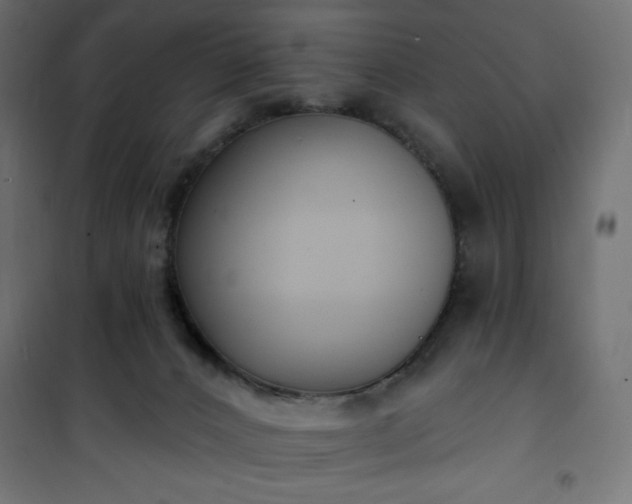 X0000101150032200807071201