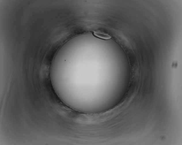 X0000101150033200807071201