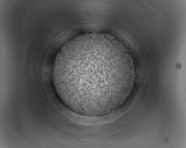 X0000101150034200807071201