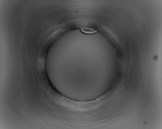 X0000101150035200807071201