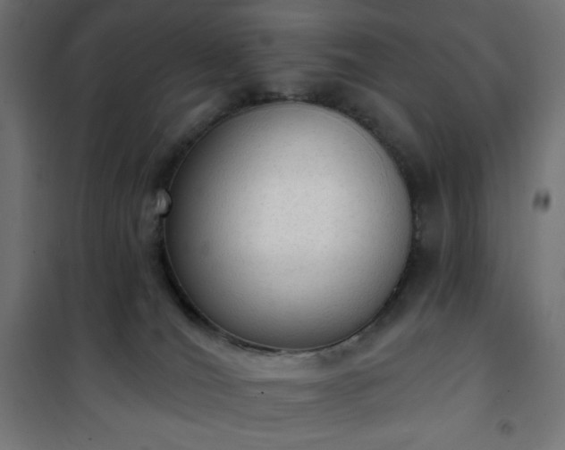 X0000101150036200807071201