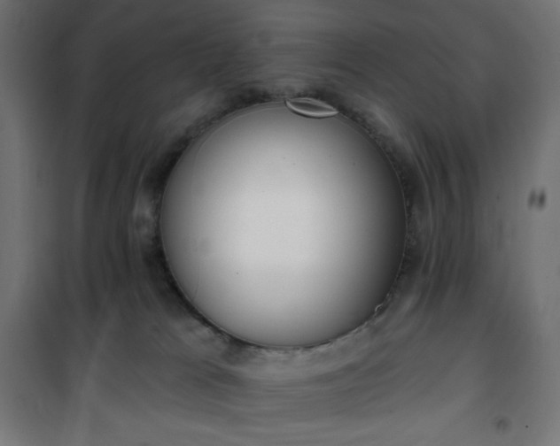 X0000101150037200807071201