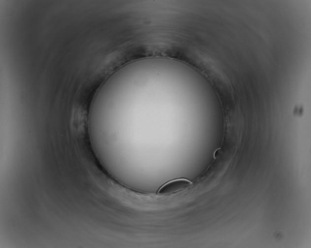 X0000101150038200807071201