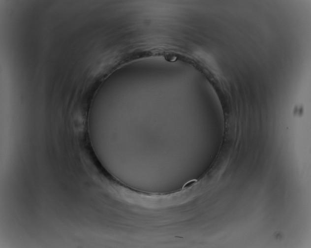 X0000101150039200807071201