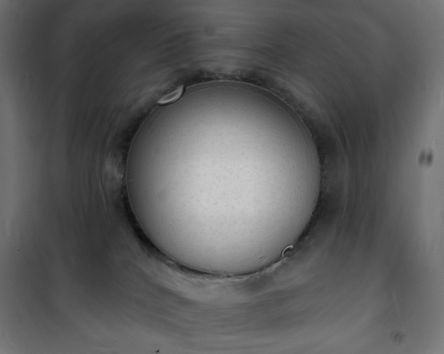 X0000101150040200807071201